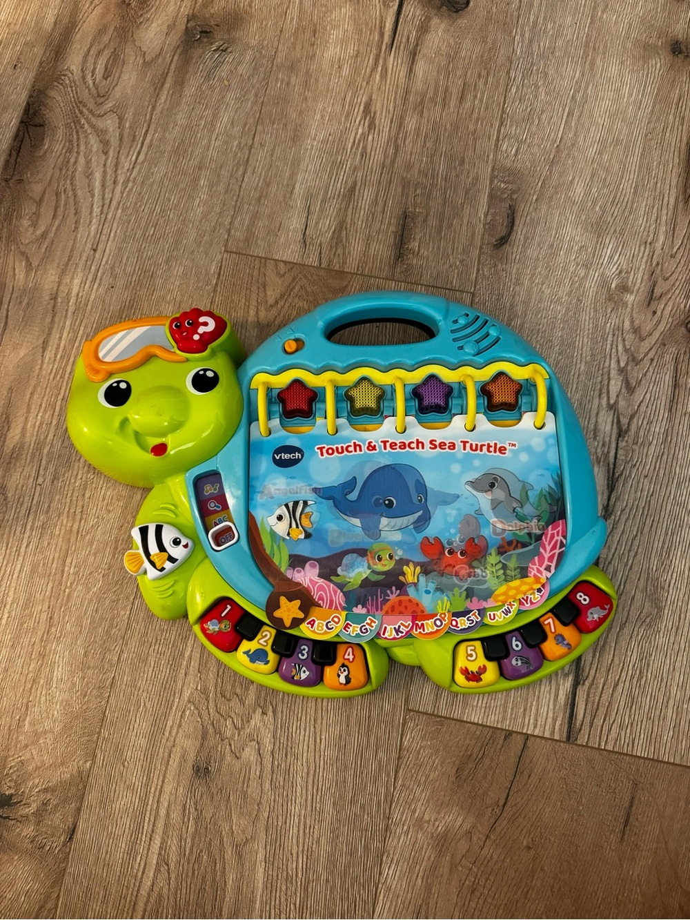 Vtech Touch & Teach Sea Turtle